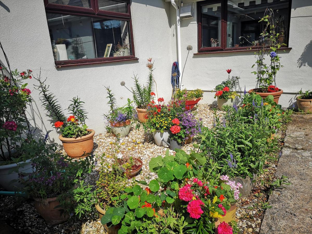 Y Cuddfan Gower Bed & Breakfast Swansea Exterior photo